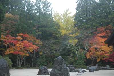 c0106491_1427184.jpg