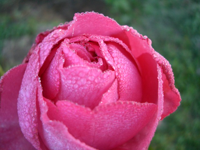c0120591_2204744.jpg