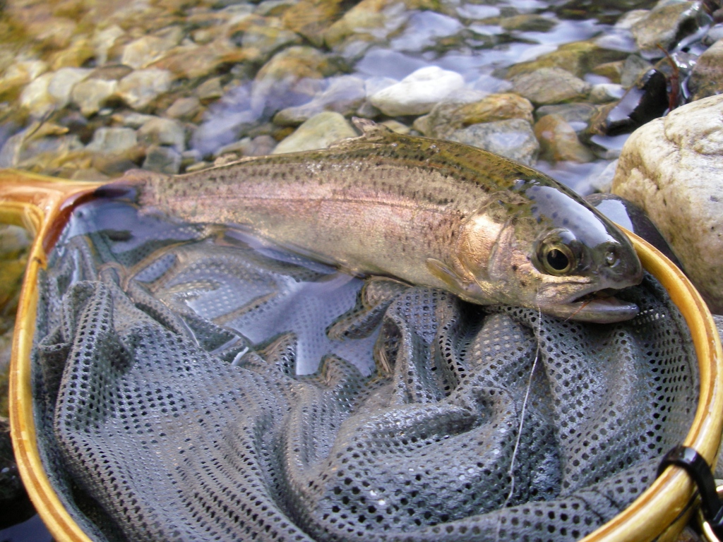 b0092694_2032518.jpg