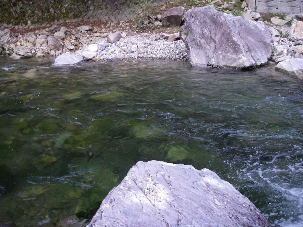 b0092694_20333467.jpg