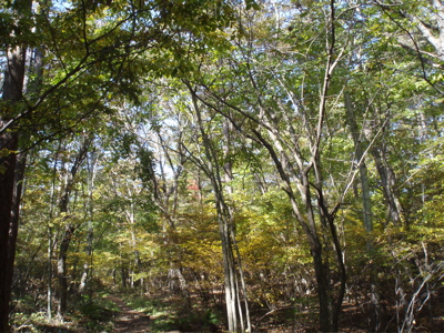 f0130894_21104370.jpg