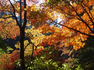 f0130894_2111249.jpg