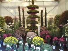 f0130894_21225619.jpg