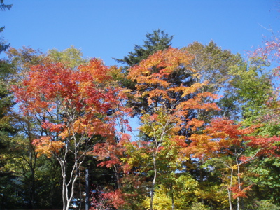 f0130894_2126618.jpg