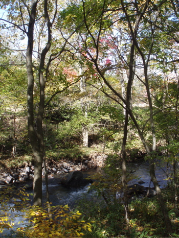 f0130894_2165090.jpg