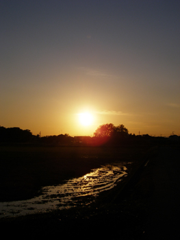 d0045295_23415112.jpg