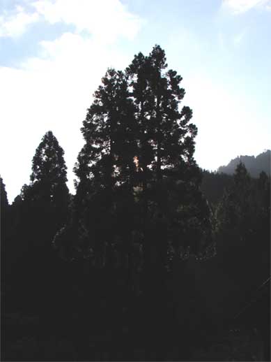 a0061599_8114176.jpg