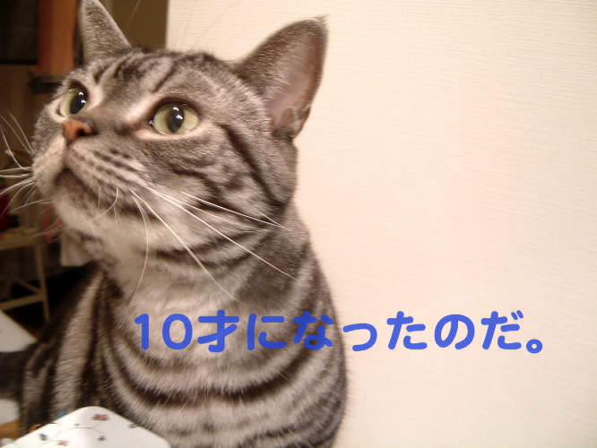 a0079803_0302849.jpg