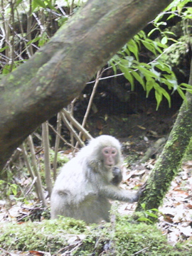 b0050104_2231529.jpg