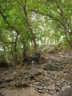 d0126508_9185375.jpg