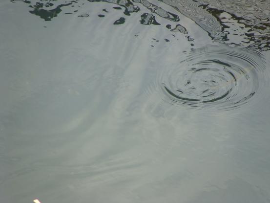 e0123808_22503534.jpg