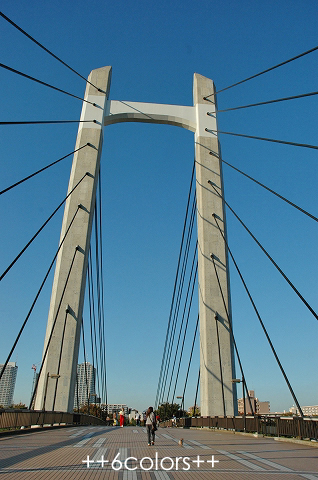 e0125310_0595859.jpg