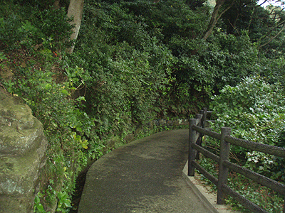 b0087512_18553474.jpg