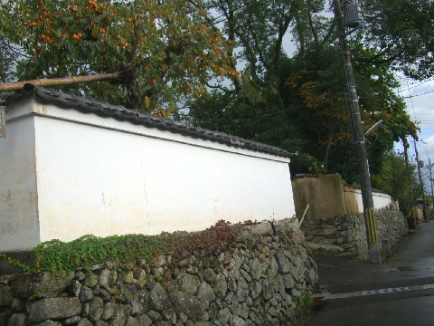 d0007913_064231.jpg