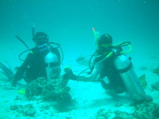 f0142717_22332835.jpg