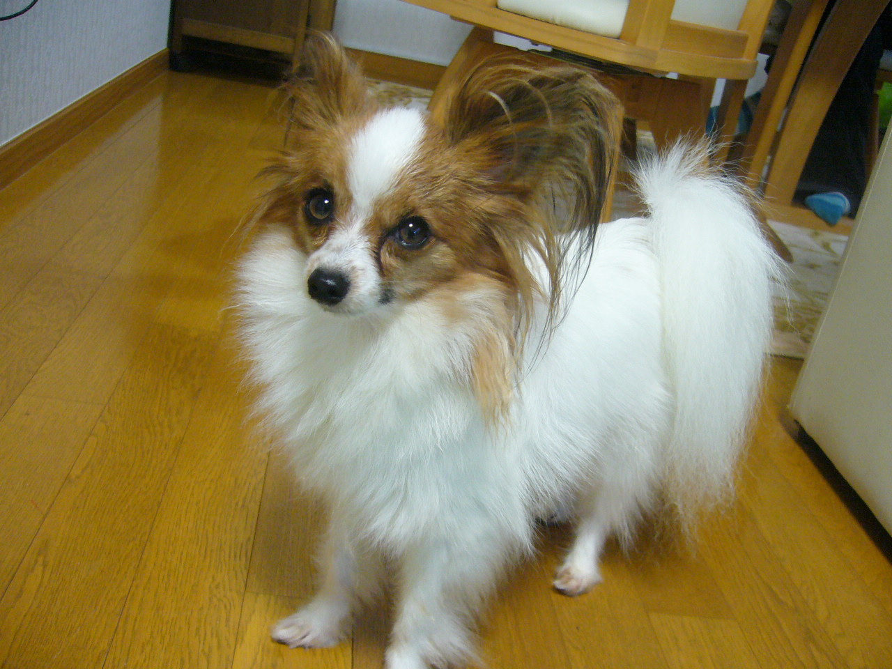 f0135021_16452010.jpg