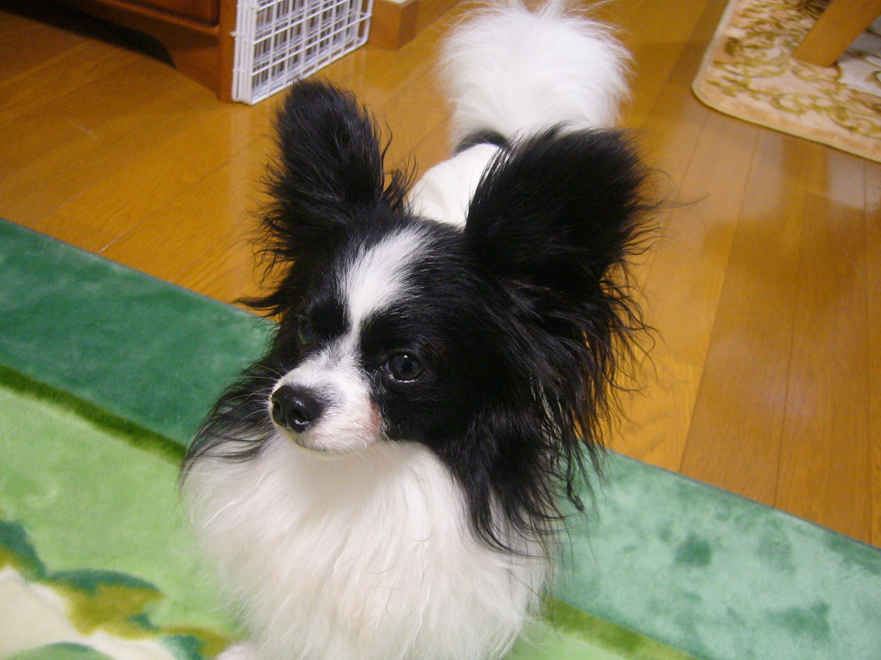 f0135021_16452979.jpg