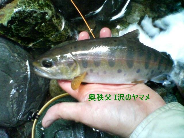 a0097823_206010.jpg