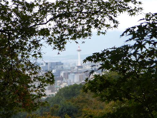 b0102023_1942289.jpg