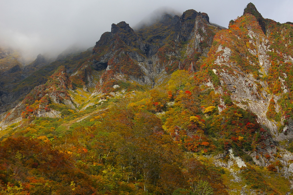 b0062024_2121690.jpg
