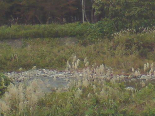 d0015124_1650759.jpg