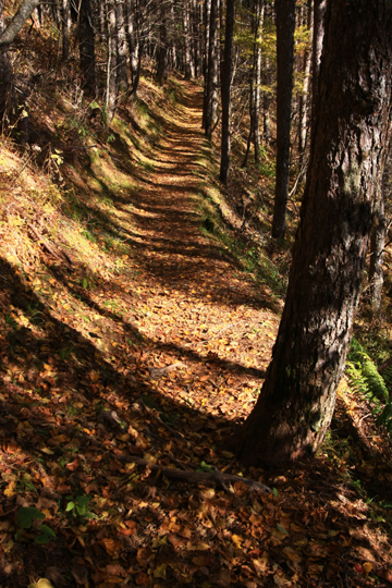 f0081726_19201049.jpg
