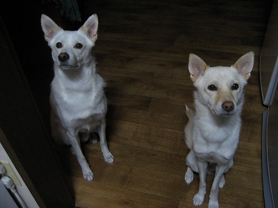 b0006329_0553490.jpg