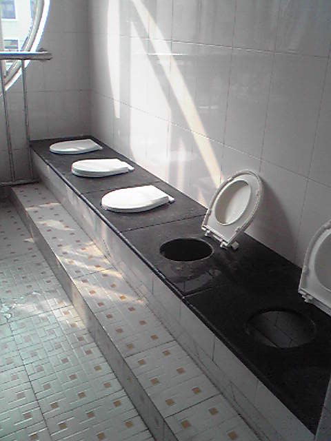 f0139029_1416281.jpg