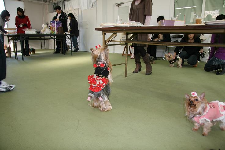 f0124830_114987.jpg