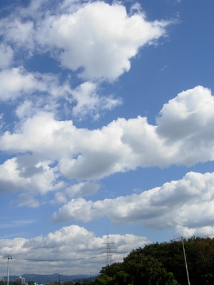 f0078132_438973.jpg