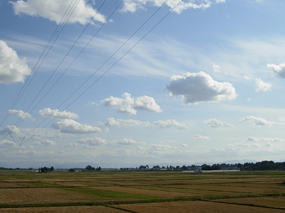 f0078132_5103862.jpg
