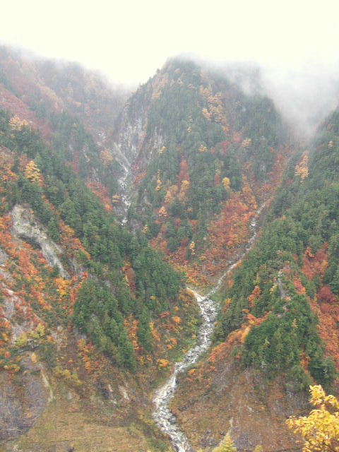 e0064133_23522861.jpg