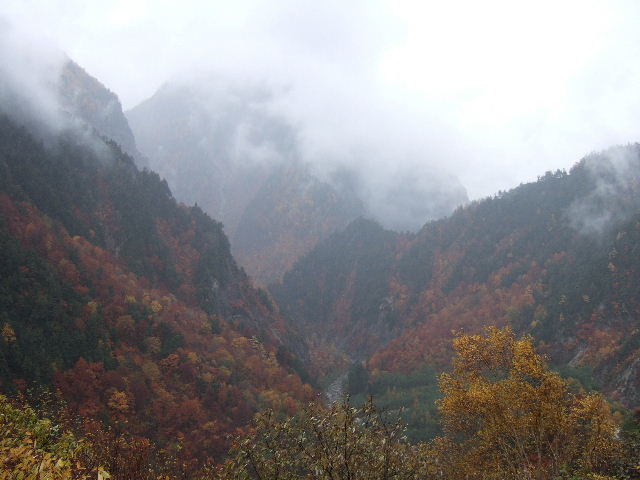 e0064133_23524288.jpg