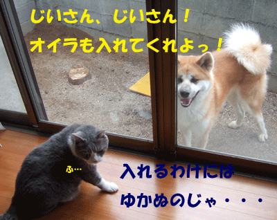 f0008935_13305640.gif