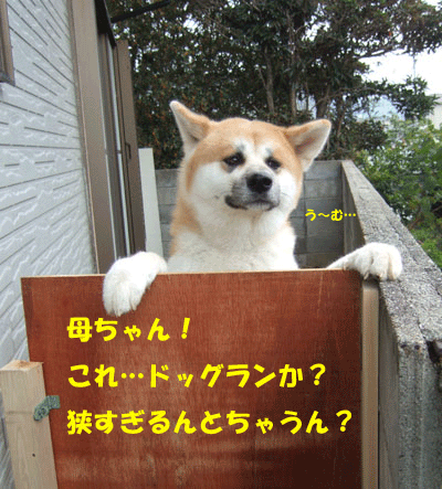 f0008935_15561385.gif