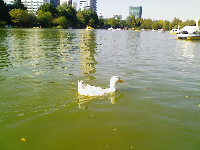 f0075537_9505745.jpg