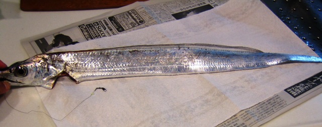 f0119244_11344247.jpg