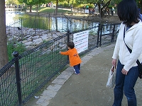 d0098047_23444894.jpg