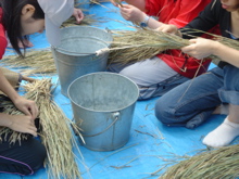 d0112350_0483432.jpg