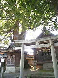 c0069552_11381312.jpg