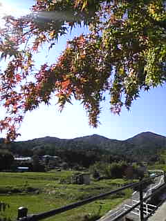 c0069552_921426.jpg