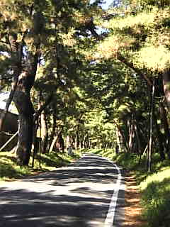 c0069552_921454.jpg