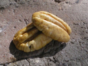 c0111254_14591739.jpg