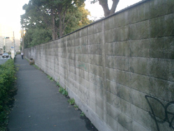 b0013376_17325935.jpg