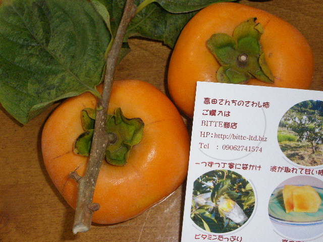e0114977_1433348.jpg