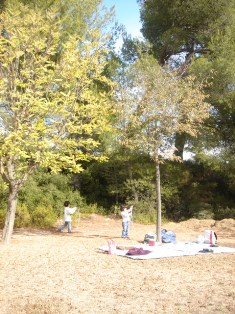 f0136579_226371.jpg