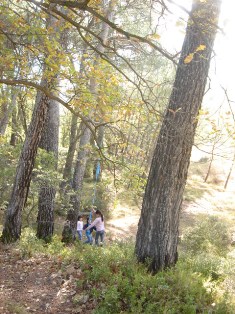 f0136579_229169.jpg
