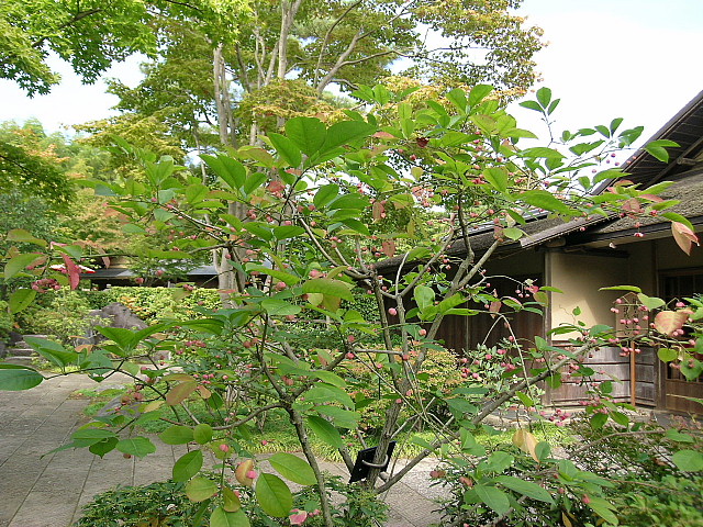 a0079880_22582311.jpg