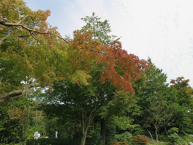 a0079880_23212831.jpg