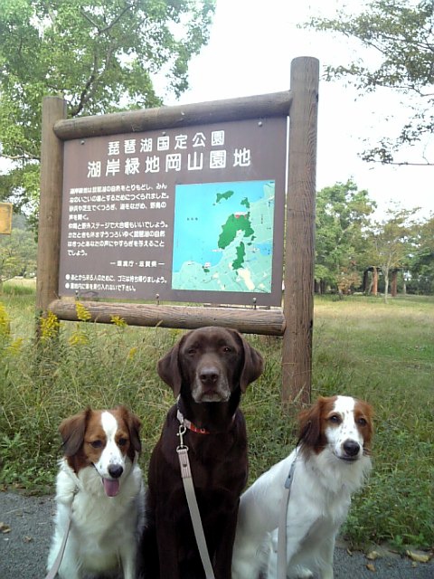 f0133681_17331378.jpg